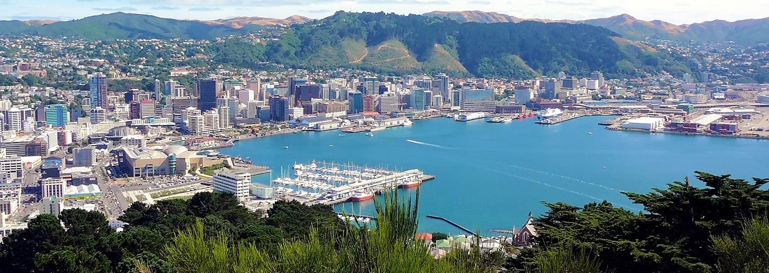 Best Areas to Stay in Wellington, New Zealand | Best Districts