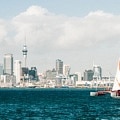 The Best Areas to Stay in Auckland, New Zealand