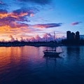 The Best Areas to Stay in Gold Coast, QLD