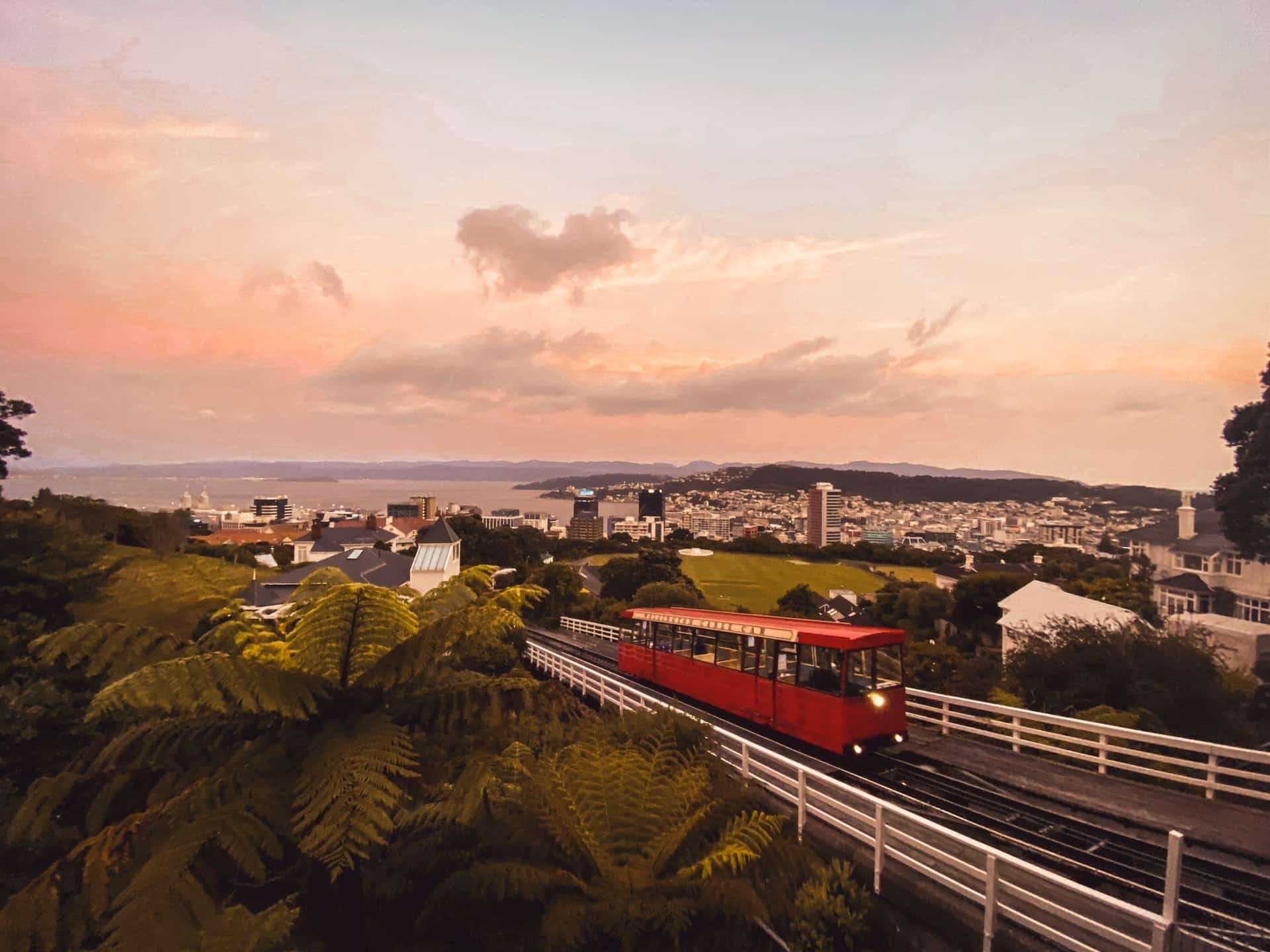 The Best Areas to Stay in Wellington, NZ
