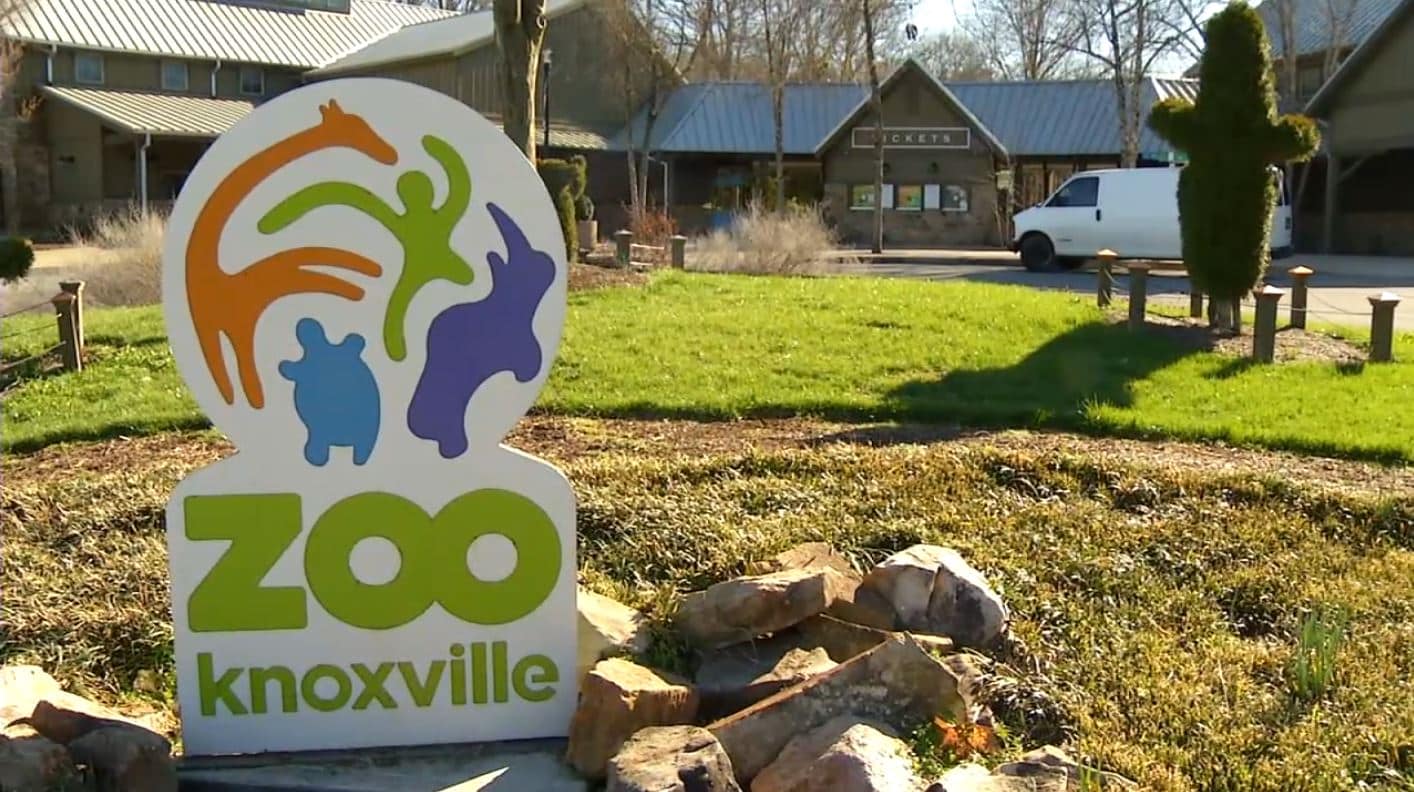 Best Areas to Stay in Knoxville, Tennessee 2024 Best Districts