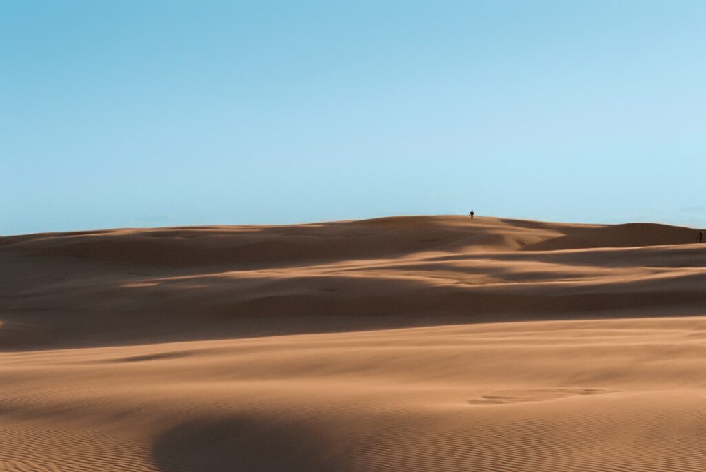 Best areas to stay in Newcastle, NSW - Stockton Beach