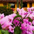 The Best Areas to Stay in San José, Costa Rica