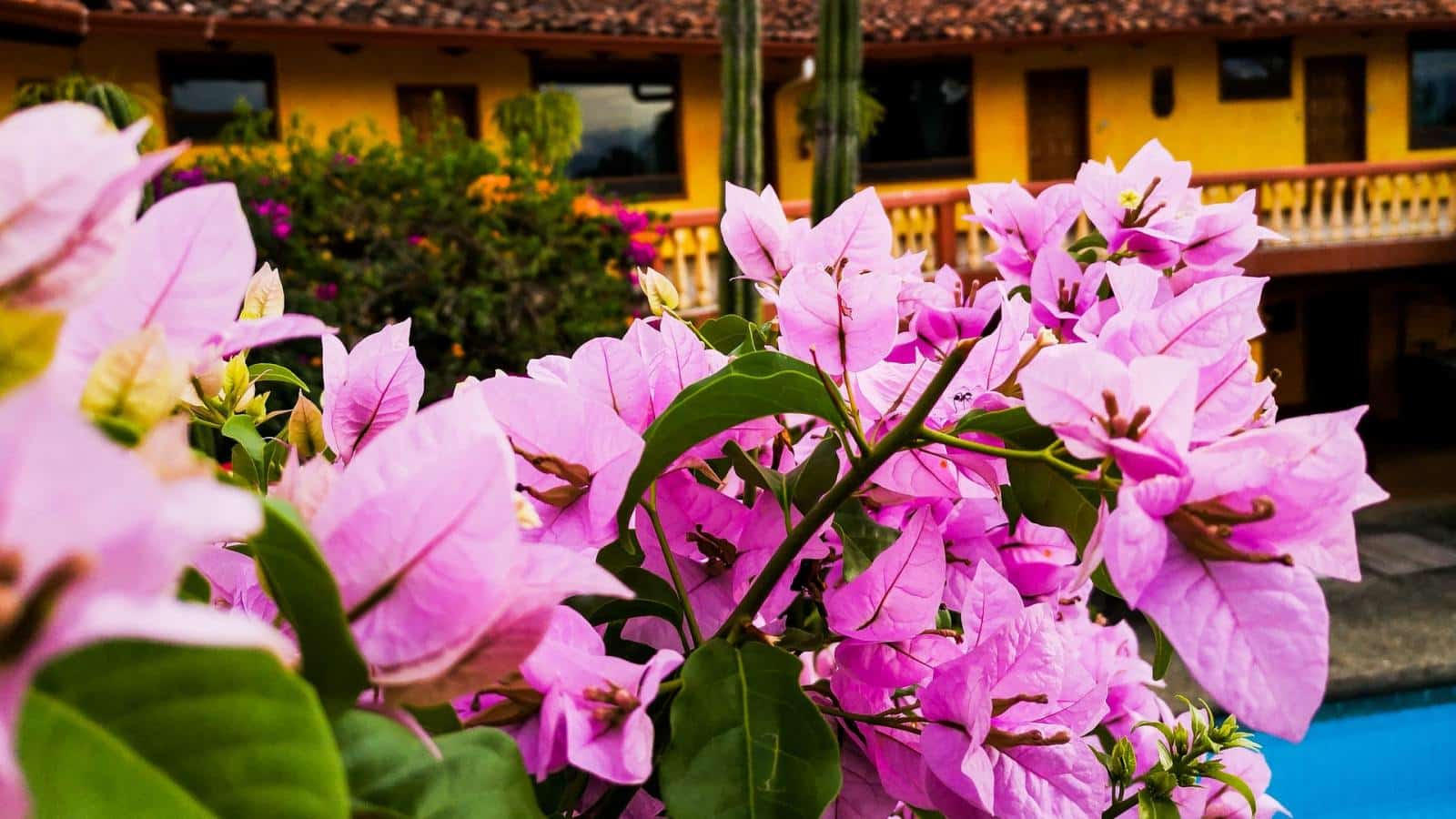 The Best Areas to Stay in San José, Costa Rica