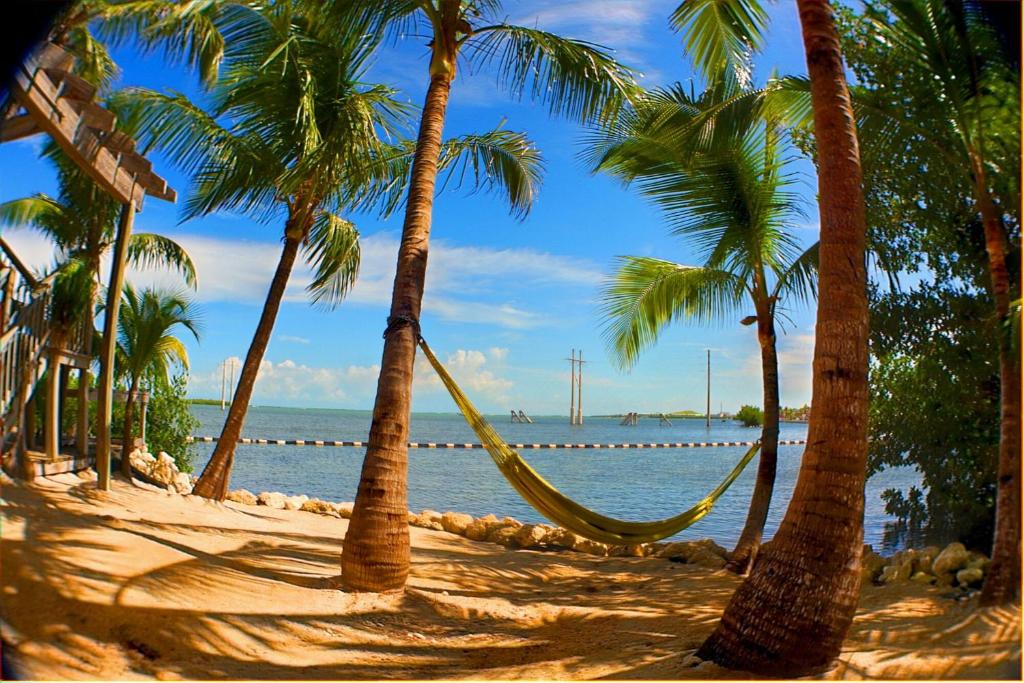 Mejor zona de playa donde quedarse en Cayo Hueso - South Key West