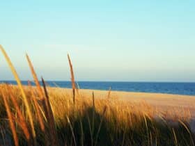 Best Areas to Stay in The Hamptons, New York