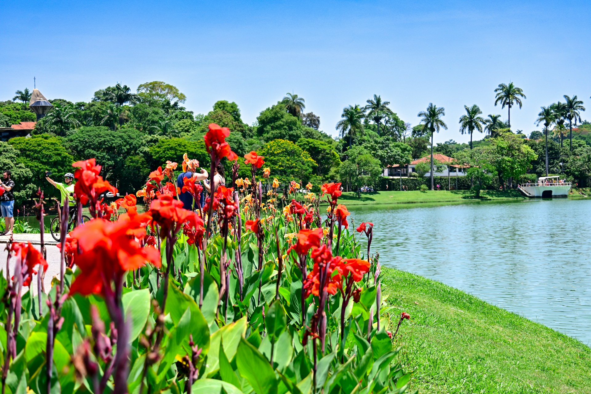 O Parque Ecológico Francisco Lins do Rego e a Lagoa da Pampulha são duas atrações imperdíveis em Belo Horizonte.