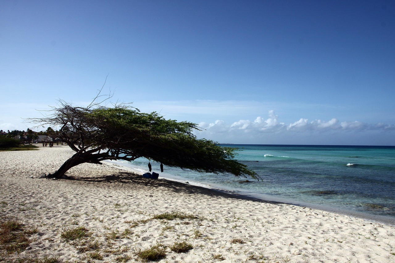 Offering stunning beaches, entertainment, shops and restaurants, Eagle Beach and Palm Beach are some of the best areas to stay on the island of Aruba.