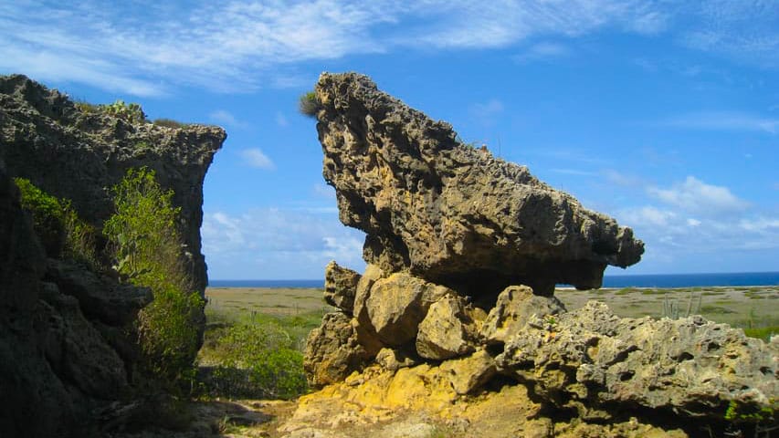 Home to Arikok National Park, Santa Cruz is ideal for travelers looking to experience Aruba’s wilder side