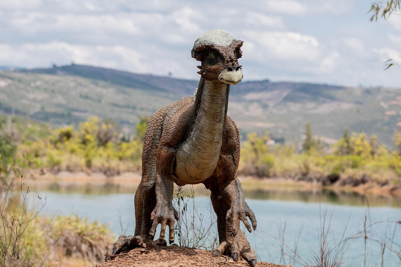 The area around Gondava Theme Park offers a quieter setting with open landscapes and unique attractions nearby