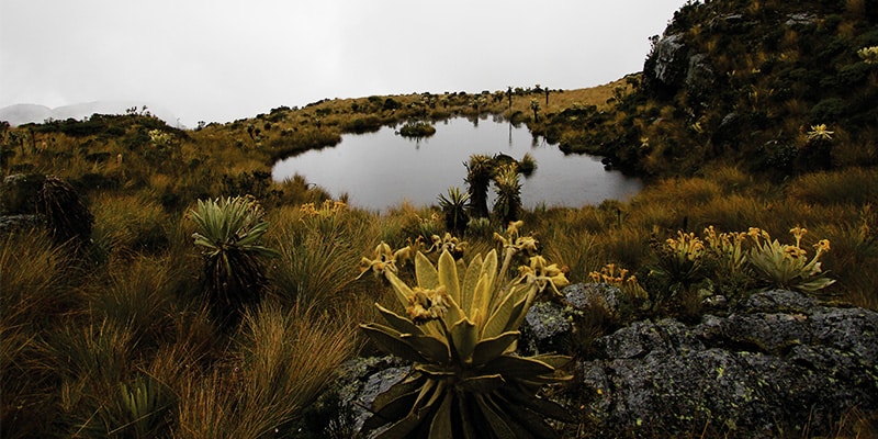 The rural surroundings of the Iguaque National Park are some of the best areas to stay in Villa de Leyva for adventurers