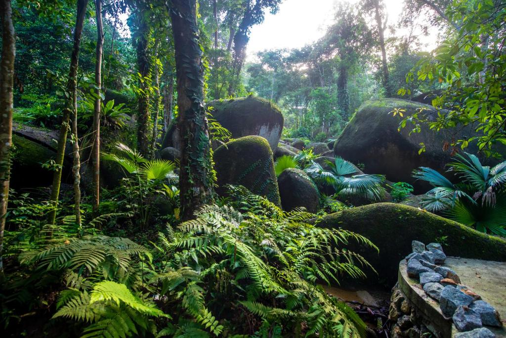 The Penang National Park area is ideal for travelers looking to immerse themselves in nature.