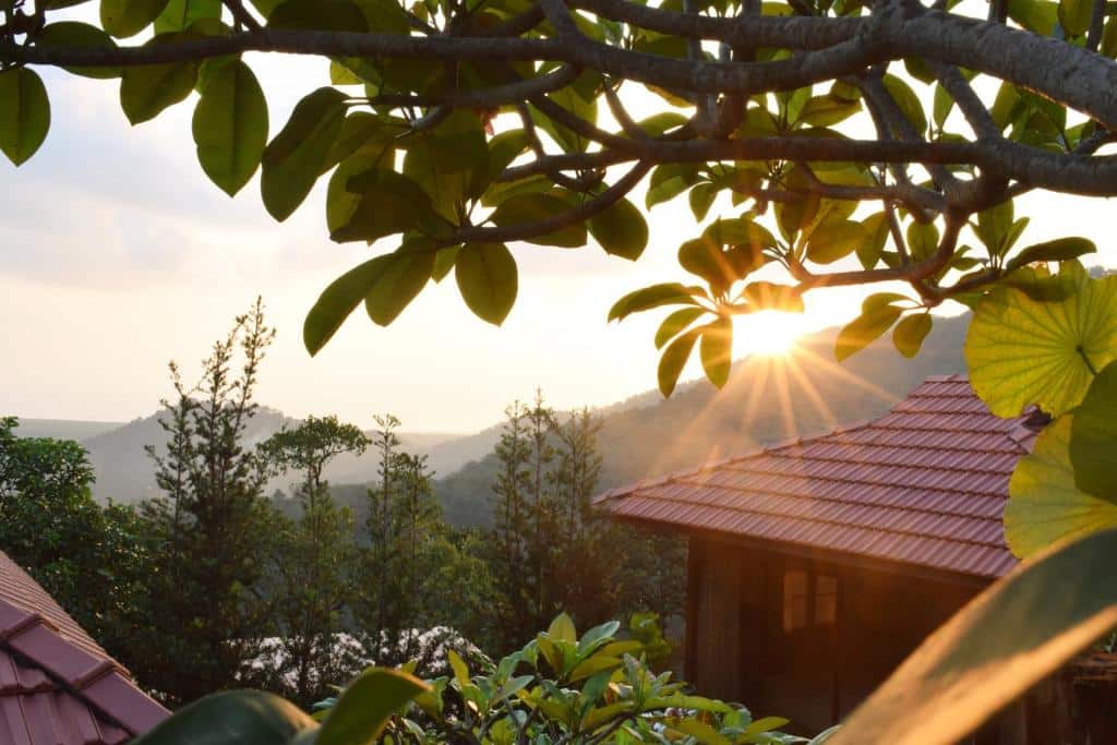 The area around Penang National Park features eco-lodges and rural accommodations